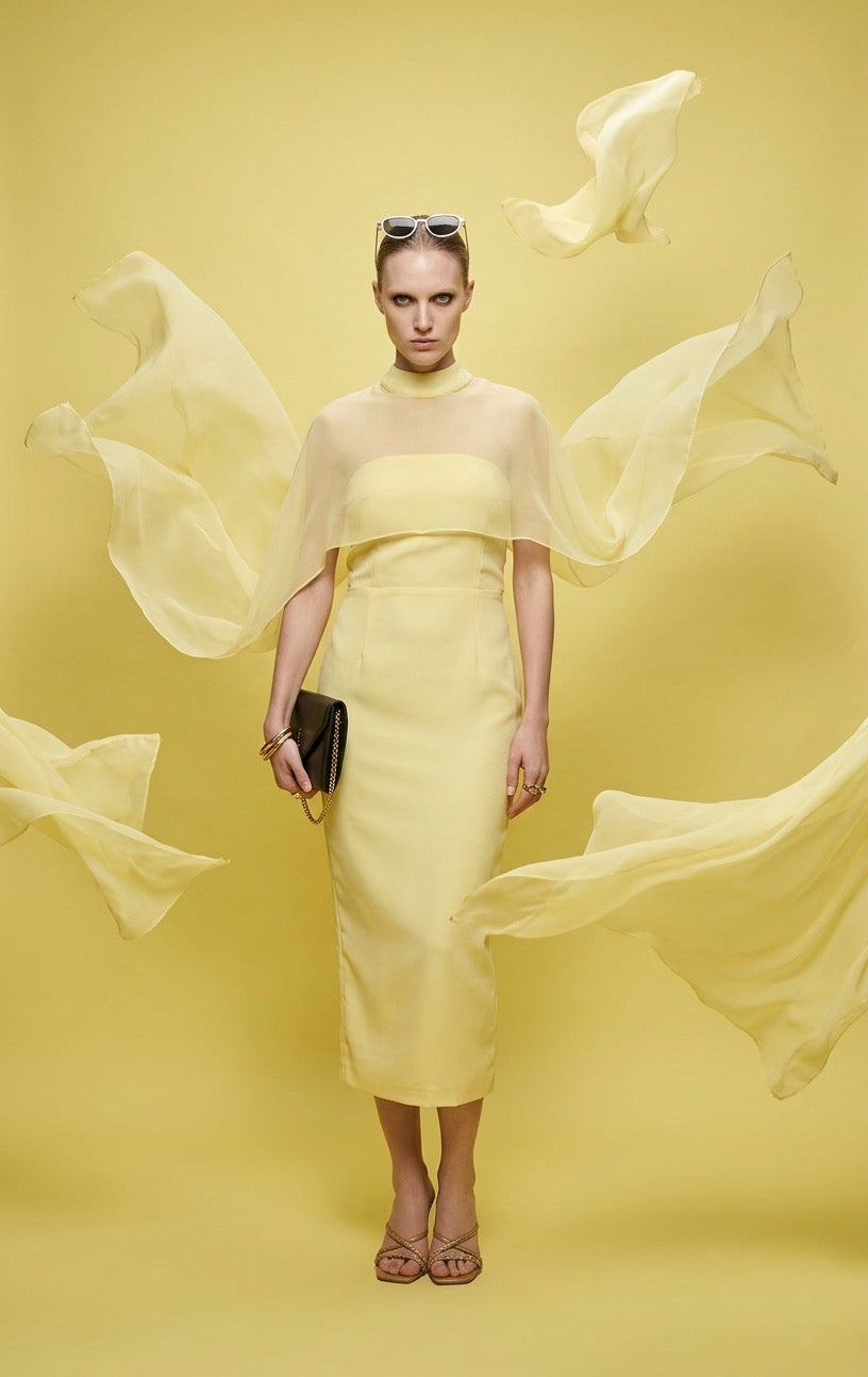 Aurelind Maxi Dress